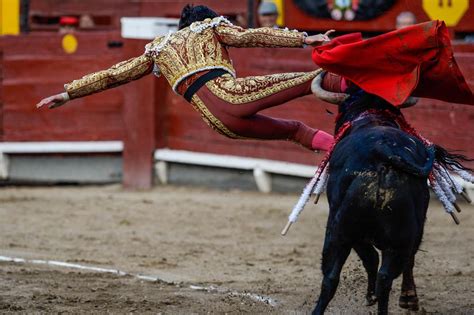 Topshot Peru Bullfighting