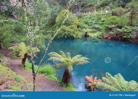 Blue Lake At Jenolan Caves Stock Photo Image Of Landscaping 27161798