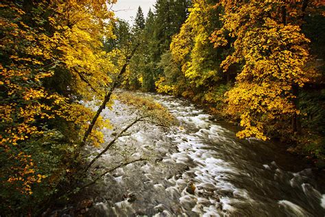 Falltime On The Salmon River Photograph By Wes And Dotty Weber Pixels
