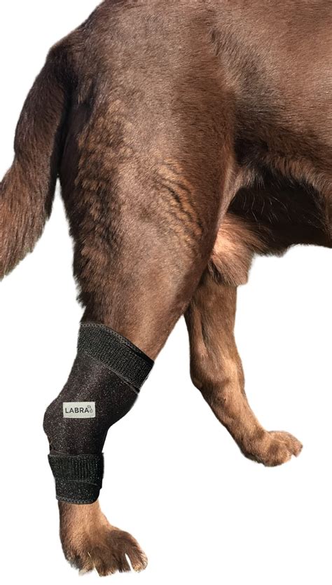 Walkabout Compression Sleeve For Dogs Canine Leg Brace To Heal Wounds