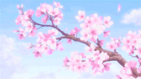 Falling Cherry Blossom Tumblr