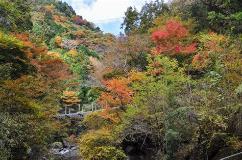 Oyanagawa Valley Fujikawa Town Popular Autumn Foliage Spots In