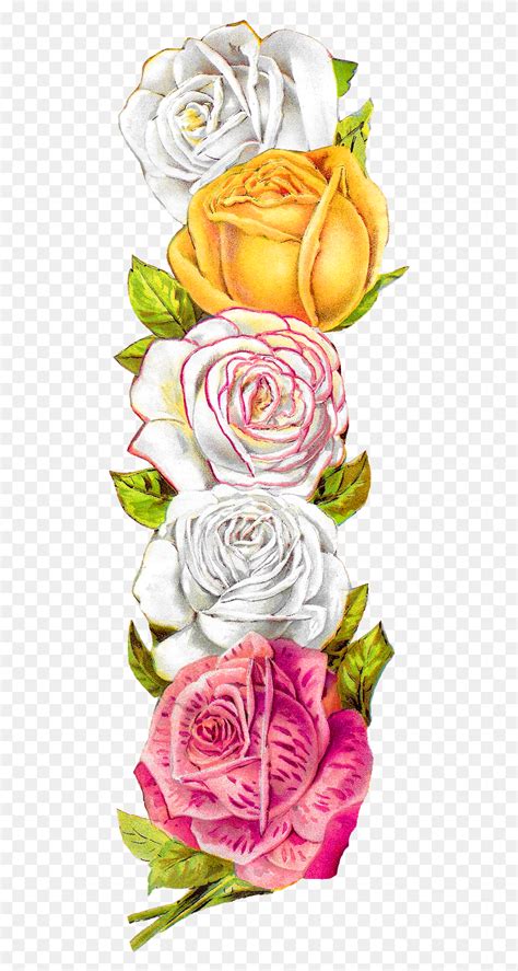 Posted On The Graphics Monarch There Is A Pretty Vintage Rose Border