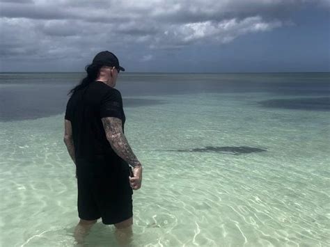 The Undertaker Protects Wife Michelle Mccool From Shark Toronto Sun