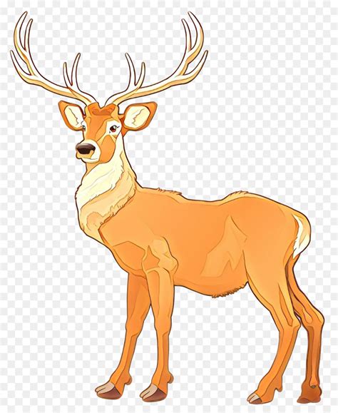 For boys and girls, kids and adults, teenagers and toddlers, preschoolers and older kids at school. white tailed deer video clipart 10 free Cliparts ...