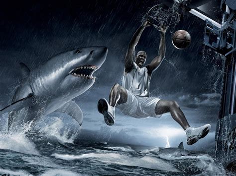 Shark wallpapers, backgrounds, images 1920x1080— best shark desktop wallpaper sort wallpapers by: Cool Shark Wallpapers - Wallpaper Cave