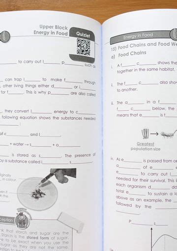 The science keywords element allows relevant earth science keywords to be associated with a dataset the science keywords are chosen from a controlled keyword hierarchy maintained in the keyword management system (kms). PSLE Science Keywords Recall Workbook 2021 Edition ...