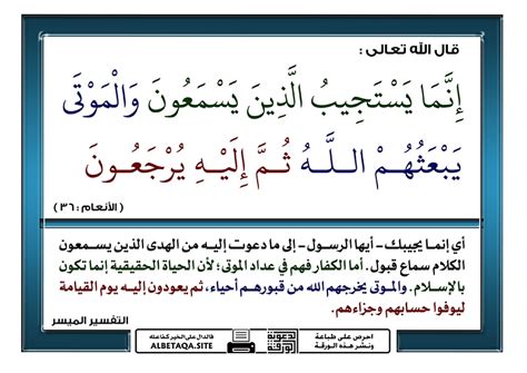 فيديو الوعد والوعيد في القرآن المجيد موقع البطاقة الدعوي