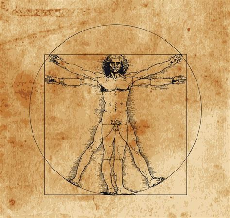 Da Vinci Google Search Vitruvian Man Vintage World Maps Art