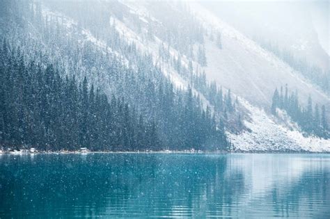 6 Quick Tips For Photographing In The Falling Snow — Kristen Ryan