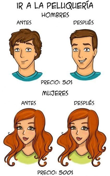 Ilustraciones Que Explican Algunas Diferencias Entre Hombres Y Mujeres F Últimas Noticias De