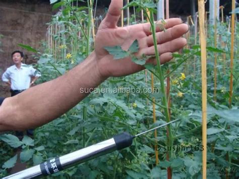 newest electric tomato pollination tool electric tomato pollinators buy tomato pollinators