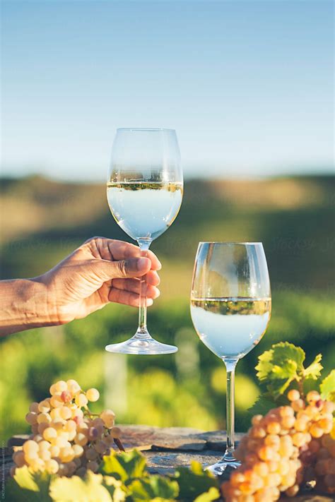 Glasses Of White Wine In A Vineyard By Cactus Creative Studio Wine
