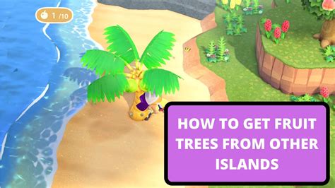 How To Get Other Fruit Trees On Your Island - Animal Crossing: New
