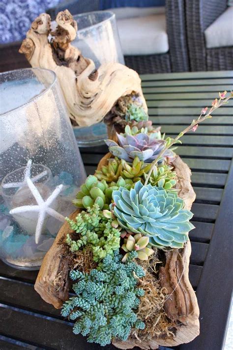 Fill Your Home With 45 Delicate Diy Driftwood Crafts Useful Diy Projects
