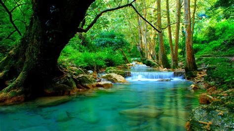 Forest River With Cascades Turquoise Water Rocks Trees Desktop