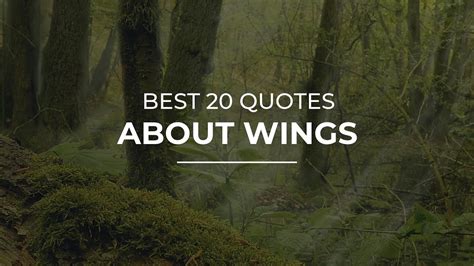 Best 20 Quotes About Wings Daily Quotes Motivational