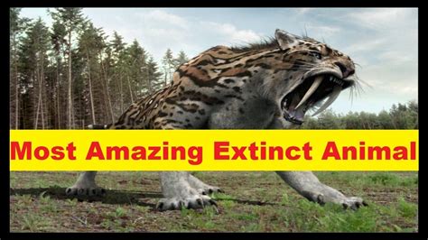 Top 10 Most Amazing Extinct Animal In The World Youtube