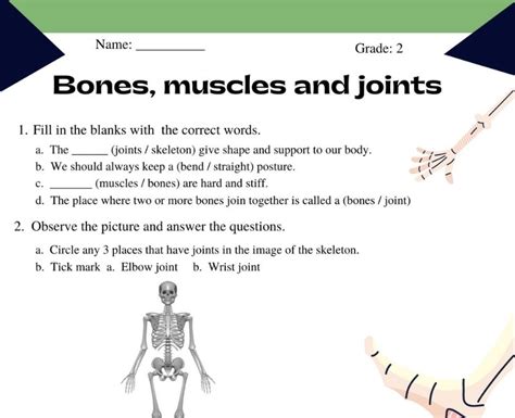 Discover The Human Body With This Bones And Muscles Worksheet For Class 2