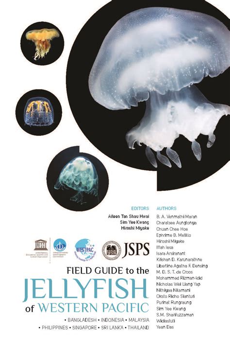 Field Guide To The Jellyfish Of Western Pacific