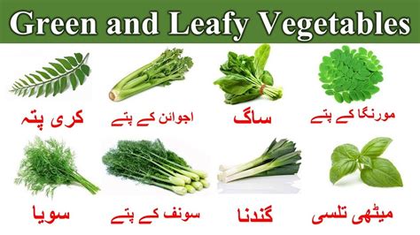 Green And Leafy Vegetables Name In English And Urdu With Picture