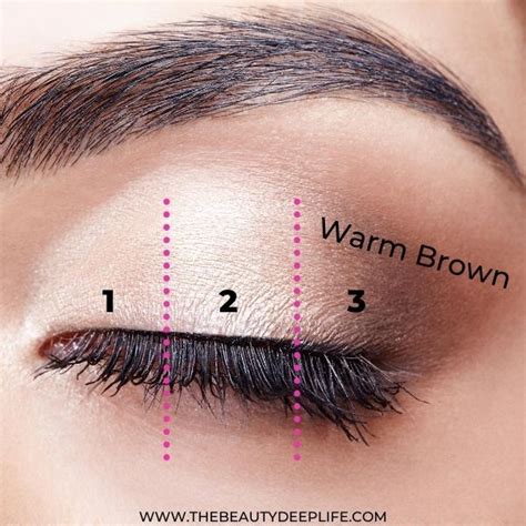 Learn How To Apply Eyeshadow For A Natural Eye Makeup Look Using