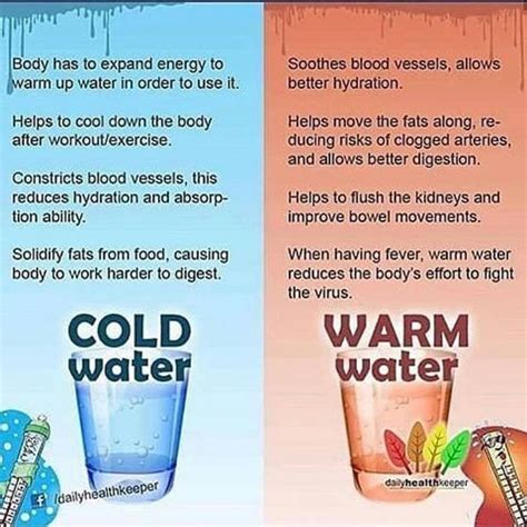 Benefits Of Drinking Warm And Cold Water Great Post Thevegan
