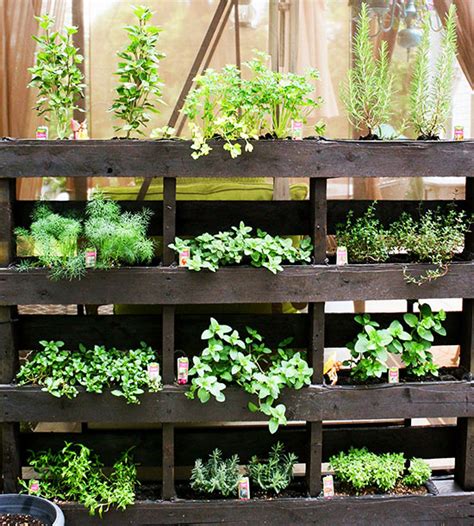 Maybe you would like to learn more about one of these? Garden Finance Vertical Garden Ideas - Garden Finance