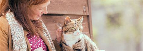 We want to hear your opinion! How to rehome - Adopting a rescued animal - Rehoming ...