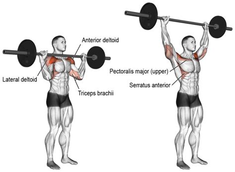 6 Compound Lifts You Need To Master The Alpha Inside