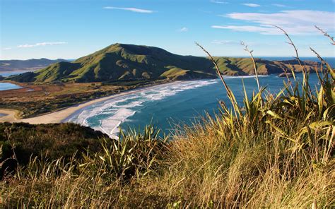 Allans Beach / South Island / New Zealand // World Beach Guide