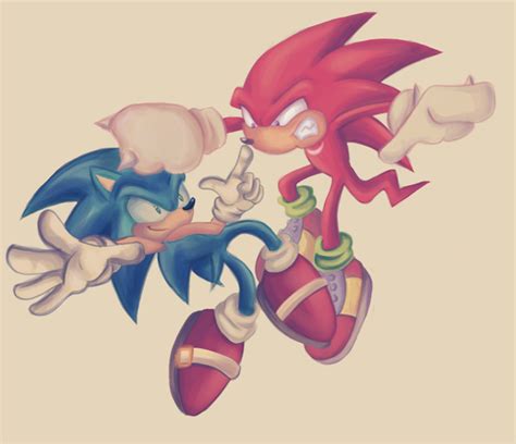 The Fight Knuckles The Echidna Photo 21303460 Fanpop