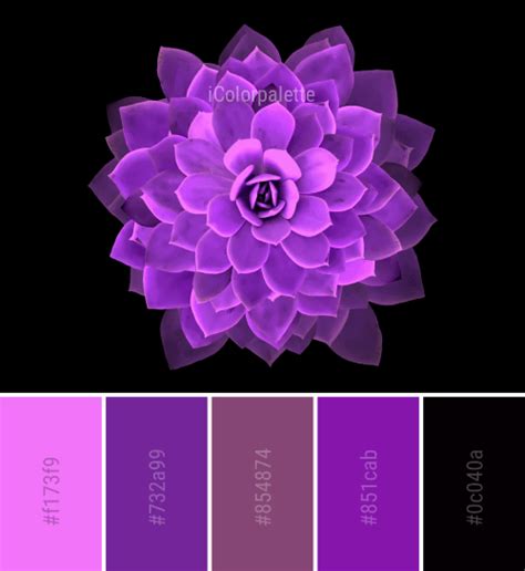 31 Purple Color Combinations Curated Collection Of Color Palettes