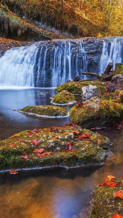 Waterfall In The Autumn Forest Backiee