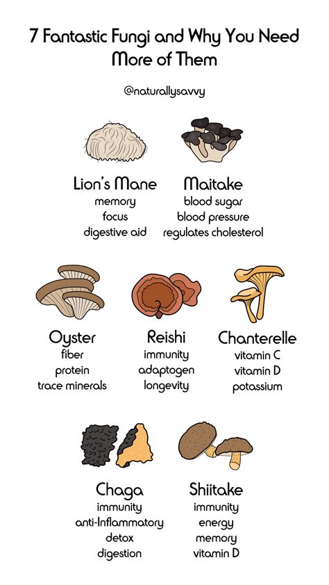 Nutritional Benefits Of Oyster Mushrooms Blog Dandk