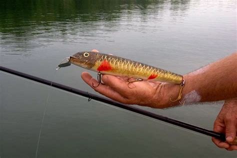 Maybe you would like to learn more about one of these? How to catch a Muskie! - Island Bay Lodge - Manitowish ...