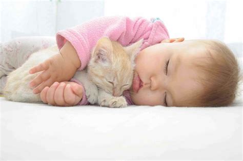 Whats Cuter Than A Baby These Videos Of Babies With Kittens Film Daily