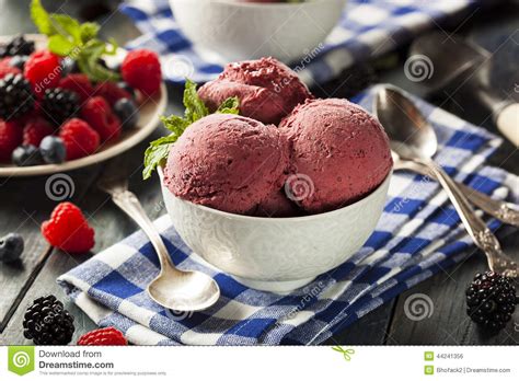Homemade Organic Berry Sorbet Ice Cream Stock Photo Image Of Healthy