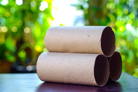 14 Practical Ways to Upcycle Toilet Paper Rolls