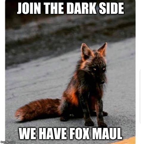 Fox Maul Imgflip