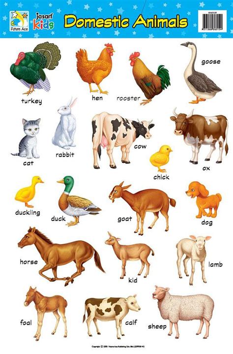 Domestic Animals Chart Animal Activities For Kids