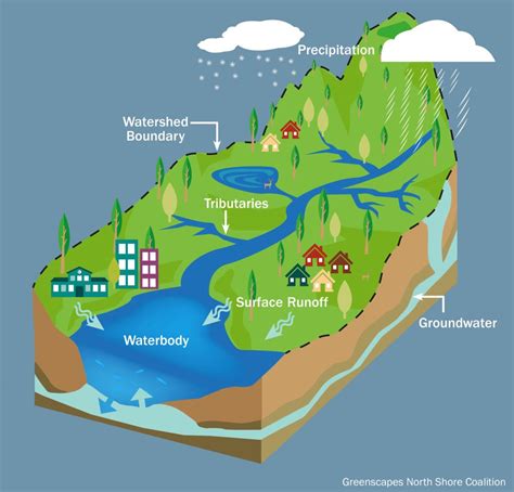 What Is A Watershed Wheatley River Improvement Group