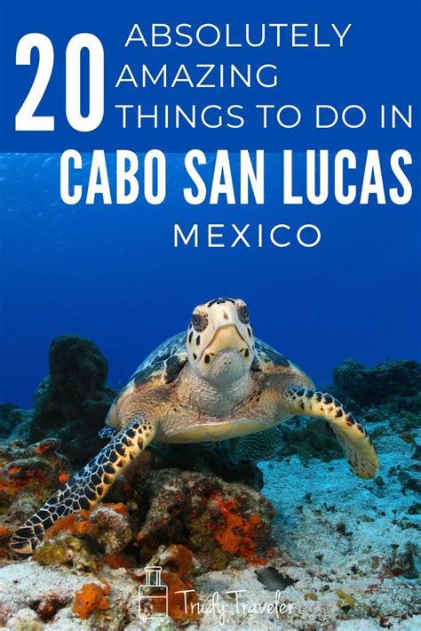 Trudy Traveler 20 Amazing Things To Do In Cabo San Lucas Artofit