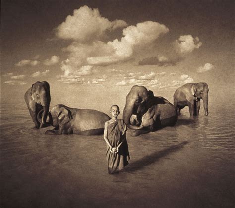 Ilustracordoba Ashes And Snow De Gregory Colbert