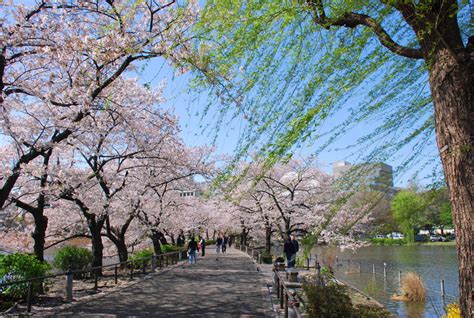 Ueno park bölgesinde bulundunuz mu? Ueno Park - Mapsofworld.com Travel