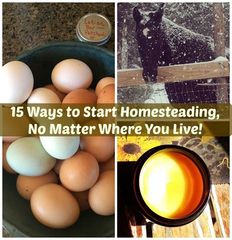 15 Ways To Start Homesteadingno Matter Where You Live Ive