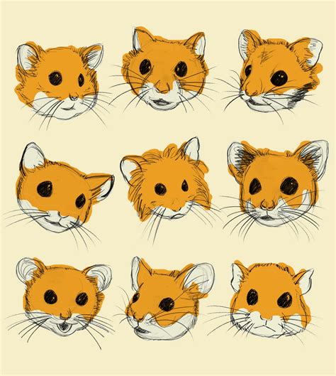 Rachael Smith Illustration Hamster T Shirt Design