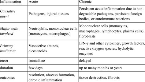 Comparison Between Acute And Chronic Inflammation From 38
