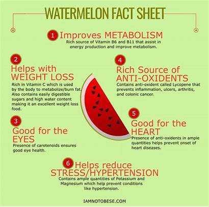 Watermelon Health Facts Eating Benefits Watermelons Fattening
