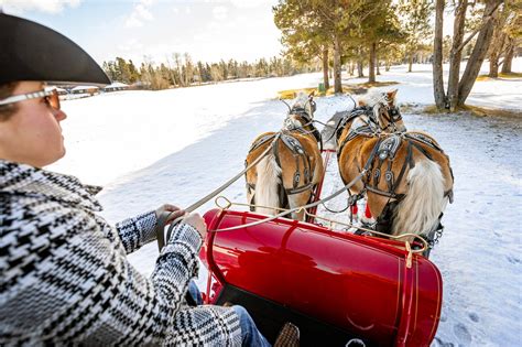 Take A Real Horse Drawn Sleigh Ride Though Oregons Winter Wonderland